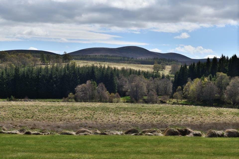 Villa Knocklea à Alness Extérieur photo